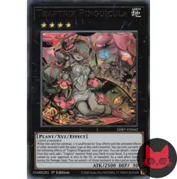 Yugioh Traptrix Pinguicula SDBT-EN042 Ultra Rare 1st Edition NM - Image 1