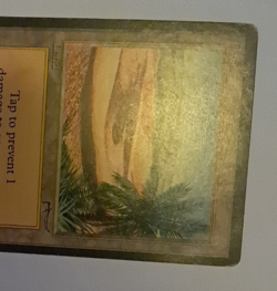 Oasis HP Arabian Nights MTG Magic the Gathering - Image 3