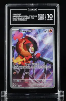 TAG 10 Gem Mint Charcadet Black Star MEP 022 Pokemon Phantasmal Flames ETB - Image 1