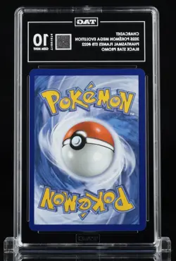 TAG 10 Gem Mint Charcadet Black Star MEP 022 Pokemon Phantasmal Flames ETB - Image 2