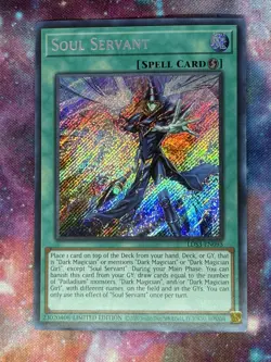 SOUL SERVANT LDS3-EN095 SECRET LIMITED ED NM YUGIOH - Image 1