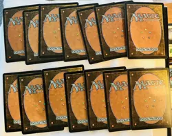 Set of 14 Magic the Gathering MTG SNOW-COVERED FOREST Coldsnap Single Card NM - Image 2
