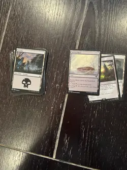 Magic The Gathering Modern Mono Black Rat Deck - Image 4