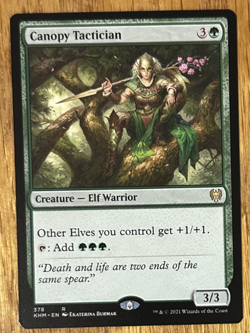 MTG Kaldheim, Canopy Tactician - Image 1
