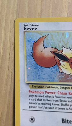 Eevee #11 Black Star Promo (LP) Pokemon Card WOTC 2000 - Image 2
