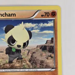 Pancham + Pangoro 59,60+68/111 XY Furious Fists NM Pokemon - Image 4
