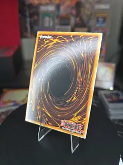 Yu-Gi-Oh Rage Rose Witch DOOD-EN040 Ultra Rare 1st Edition Doom of Dimensions - Image 4