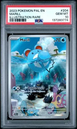 Marill #204 Paldea Evolved PSA 10 Pokemon Card - Image 1