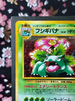Venusaur 003 Intro Deck Promo Old Back Holo Japanese Pokemon Card [Near Mint-] - Image 3