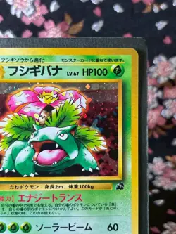 Venusaur 003 Intro Deck Promo Old Back Holo Japanese Pokemon Card [Near Mint-] - Image 4