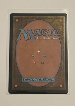 MTG Leyline of the Guildpact - Extended Art Foil -Murders at Karlov Manor - #418 - Image 2