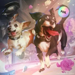 MTG Secret Lair: Dogs Are Better Than Cats | Rainbow Foil Edition Sealed - Image 1