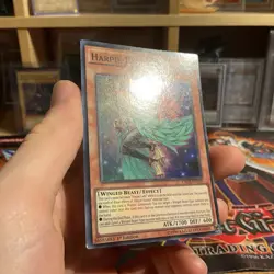 Yugioh Harpie Harpist CROS-EN099 Super Rare 1st Edition VLP-LP - Image 2