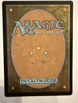 MTG: Flooded Strand Card Regular Zendikar Rising- NM - Image 2