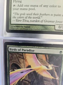 4 X Birds of Paradise Magic 2012 (M12) , 3x NM 1x LP - Image 2
