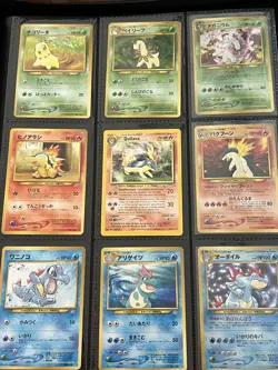Pokemon TCG Complete NM Japanese Promo Premium File 1 Neo Genesis Set - Image 1