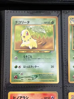 Pokemon TCG Complete NM Japanese Promo Premium File 1 Neo Genesis Set - Image 5