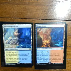 Hallowed Fountain 265 & Steam Vents 267 Lorwyn Eclipsed Shock Land Card Lot - Image 1