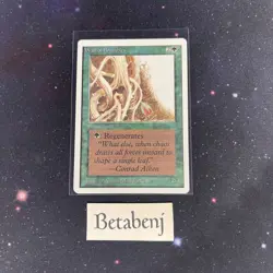 1x MTG Unlimited Wall of Brambles from Estate Collection - Image 1