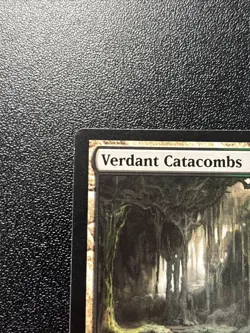 MTG Magic the Gathering Verdant Catacombs (229/280) Zendikar LP JR - Image 2