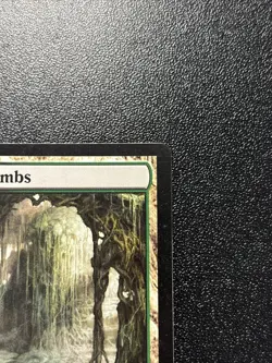 MTG Magic the Gathering Verdant Catacombs (229/280) Zendikar LP JR - Image 3