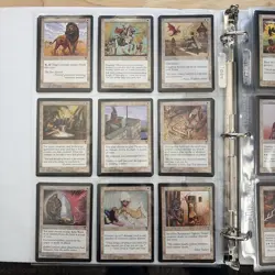 Magic the Gathering Visions Complete Set MTG NM - Image 2