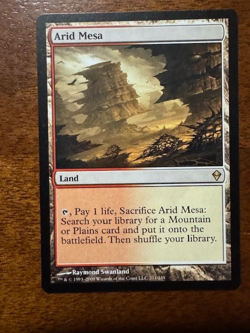 Arid Mesa Zendikar Regular (NM-MT) - Image 1