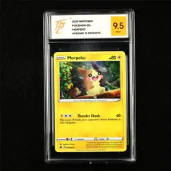 TQG 9.5 MINT+ 2020 Pokemon ENG Morpeko SWSH012 Promo - Image 1