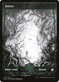 Lot of 20x Forest #277 - MID Midnight Hunt MTG Magic FULL ART Land NM - Image 1