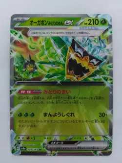 Teal Mask Ogerpon ex RR 020/187 Terastal Festival sv8a Pokemon Card Japanese NM - Image 1