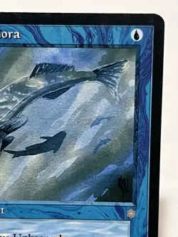 Mystic Remora - Ice Age ~LP~ Magic The Gathering MTG - Image 4