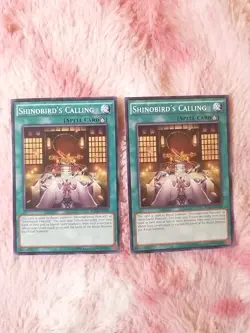 2X Yu-Gi-Oh! Shinobird's Calling - RATE-EN060 Raging Tempest - Image 1