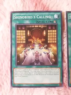 2X Yu-Gi-Oh! Shinobird's Calling - RATE-EN060 Raging Tempest - Image 2