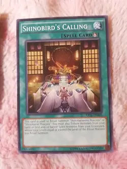 2X Yu-Gi-Oh! Shinobird's Calling - RATE-EN060 Raging Tempest - Image 4