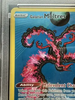 Pokemon Galarian Moltres SWSH284 Black Star Promos PSA 9 - Image 3