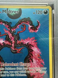 Pokemon Galarian Moltres SWSH284 Black Star Promos PSA 9 - Image 4