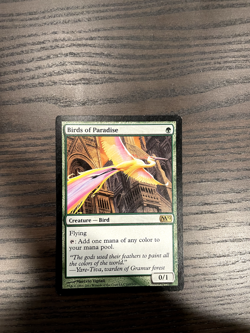 Birds of Paradise (M12) MP - Image 1