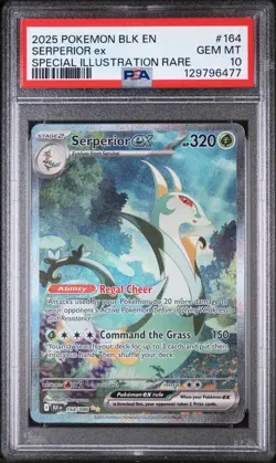 PSA 10 Serperior ex #164 Special Illustration Rare Pokemon Black Bolt English - Image 1