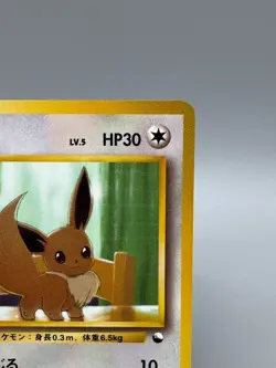 Eevee Lv.5 No.133 Old Back Glossy Vending Series 1998 Japanese Pokemon Card - Image 5