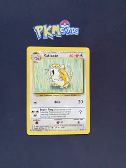 Pokemon TCG Raticate Base Set 40/102 Regular HP. - Image 1