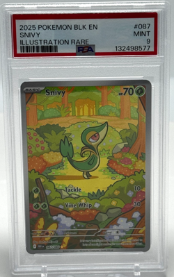 Snivy Illustration Rare Holo PSA 9 MINT (2025) Pokemon Black Bolt 087/086 - Image 1
