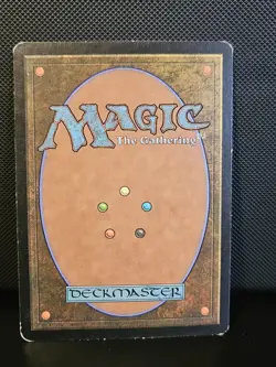 Sungrass Prairie FOIL Odyssey HP Land Rare CARD - Image 2