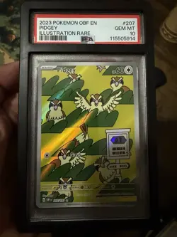 PSA 10 Pokemon TCG Pidgey Illustration Rare Card 207/197 Sv03: Obsidian Flames - Image 1