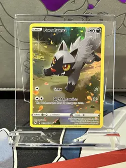 Pokemon TCG Poochyena GG33/GG70 Crown Zenith Galarian Gallery Holo - Image 1