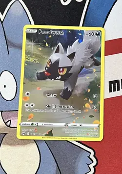 Pokemon TCG Poochyena GG33/GG70 Crown Zenith Galarian Gallery Holo - Image 2