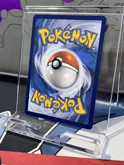 Pokemon TCG Poochyena GG33/GG70 Crown Zenith Galarian Gallery Holo - Image 3