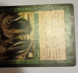 Call of the Herd Spanish HP Odyssey MTG Magic the Gathering - Image 4