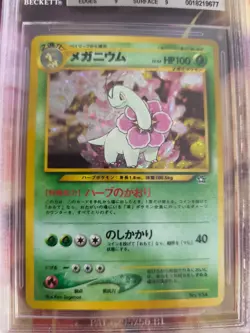 Pokemon Card Meganium Meganie Holo Neo Genesis Binder Japanese BGS Beckett 8.5+ - Image 3
