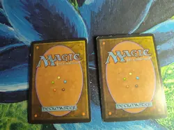 Magic The Gathering Shield Sphere – Alliances 1996 – dmg – Vintage MTG - Image 2