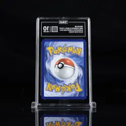 Pokemon Feraligatr #213 2024 Illustration Contest Black Star Promo TCG TAG 10 - Image 2